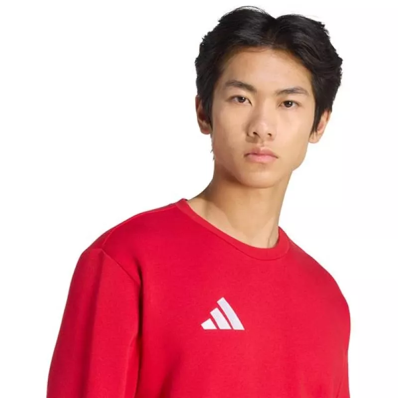 adidas vyriškas Entrada 26 prakaitui atsparus megztinis, raudonas, M dydis