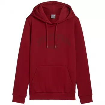 PUMA vyriškas Essentials+ Logo LAB gobtuvas FL bordo spalvos, L dydis