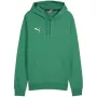 PUMA Team Goal Casuals gobtuvas Forest Night vyrams, M dydis