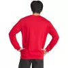 adidas Entrada 26 vyriškas treniruočių megztinis Team Power Red/White, L dydis