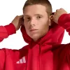 adidas Entrada 26 vyriškas gobtuvas raudonas L