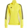 adidas Tiro 24 moteriškas treniruočių megztinis Semi Solar Yellow IR9498 S