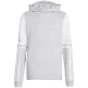 adidas Squadra 25 Sweat Hoody Kids pilkas JD4808 140cm