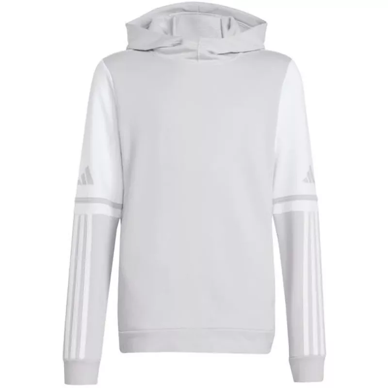 adidas Squadra 25 Sweat Hoody Kids pilkas JD4808 140cm