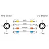 METZ CONNECT M12 D-koduotas pramoninis Ethernet kabelis, 4 kontaktų kištukas į 4 kontaktų kištuką, 5 m, PUR žalias