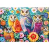 Schmidt Spiele Eulen und Blumen 1000 dalių dėlionė