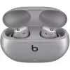 Beats Studio Buds + visiškai belaidės ausinės su triukšmo slopinimu, Cosmic Silver (MT2P3ZM/A)