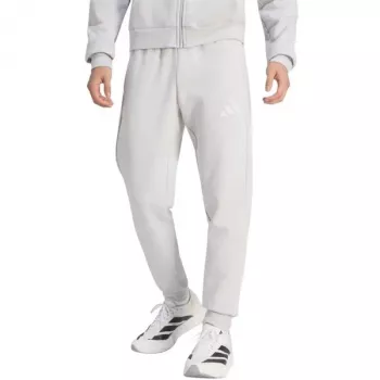 adidas Entrada 26 vyriškos kelnės pilkos spalvos, S dydžio (JZ9139)