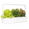 Click & Grow Smart Garden 9 9 podų vidaus žolelių ir daržovių sodas su LED auginimo lemputėmis, savaiminis laistymas, baltas