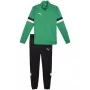 PUMA vyriškas Team Rise treniruočių kostiumas su užtrauktuku, Forest Night/Puma Black, L dydis