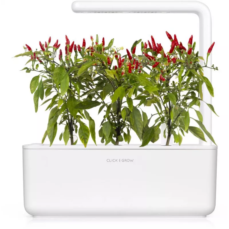 Click & Grow Piri Piri čili pipirų augalų kapsulės Smart Garden sodui, 3 vnt. (SGR67X3)
