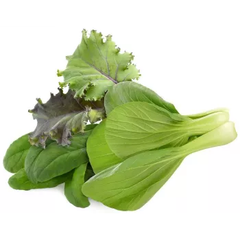 Click & Grow PPMAGX9 Smart Garden Plant Pods 9 vnt. (įvairių rūšių, biologiškai skaidūs, su gaubteliais)