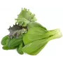 Click & Grow PPMAGX9 Smart Garden Plant Pods 9 vnt. (įvairių rūšių, biologiškai skaidūs, su gaubteliais)