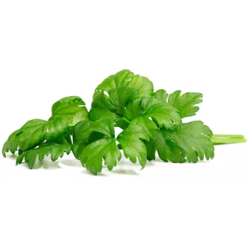 Click & Grow lapinių salierų augalų kapsulės Smart Garden sodui, 3 vnt. (SGR97X3)