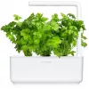 Click & Grow lapinių salierų augalų kapsulės Smart Garden sodui, 3 vnt. (SGR97X3)