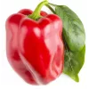 Click & Grow SGR63X3 Smart Garden 3 papildymo pakuotė (3 ankštys, biologiškai skaidžios, su sėklomis, Smart Soil)