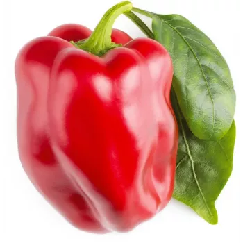 Click & Grow SGR63X3 Smart Garden 3 papildymo pakuotė (3 ankštys, biologiškai skaidžios, su sėklomis, Smart Soil)