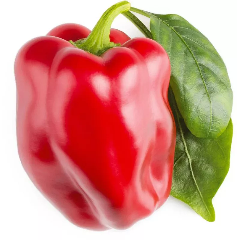 Click & Grow SGR63X3 Smart Garden 3 papildymo pakuotė (3 ankštys, biologiškai skaidžios, su sėklomis, Smart Soil)