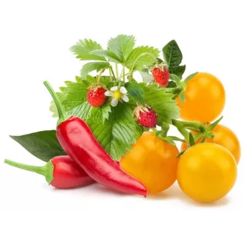 Click & Grow vaisių ir daržovių rinkinio augalų kapsulės Smart Garden sodui, 9 vnt. (PPMFVX9)