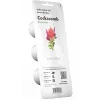 Click & Grow celiozijų (gaidžiaskiauterių) augalų kapsulės Smart Garden sodui, 3 vnt. (SGR4X3)