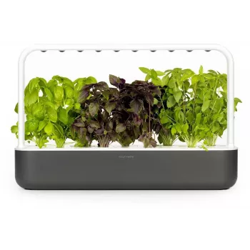 Click & Grow Smart Garden 9 išmanusis sodas, pilkas (SG9S8UNI)