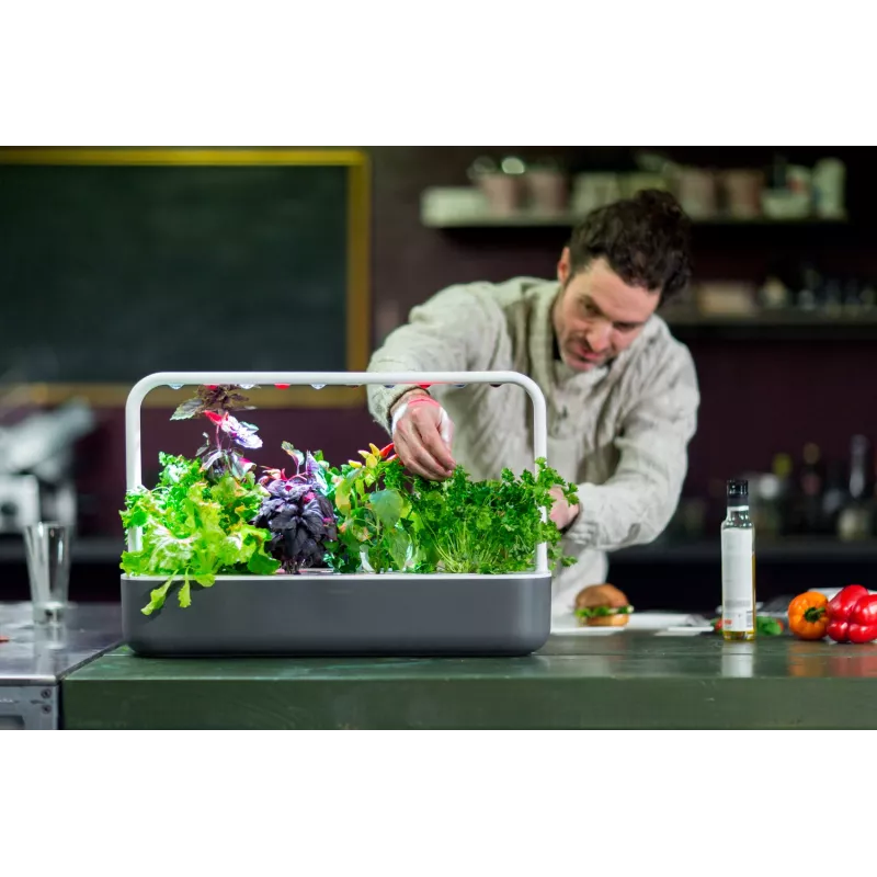 Click & Grow Smart Garden 9 išmanusis sodas, pilkas (SG9S8UNI)