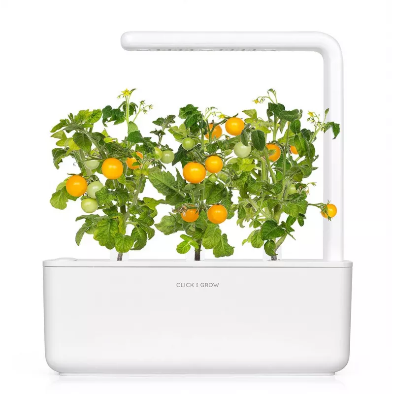 Click and Grow Smart Garden papildymo kasetės 3 vnt. Mini Tomato augalų ankštys
