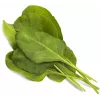 Click & Grow Smart Garden papildymas Green Chard, 3 augalų kapsulės (SGR64X3)
