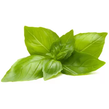 Click & Grow citrininių bazilikų augalų kapsulės Smart Garden sodui, 3 vnt. (SGR76X3)