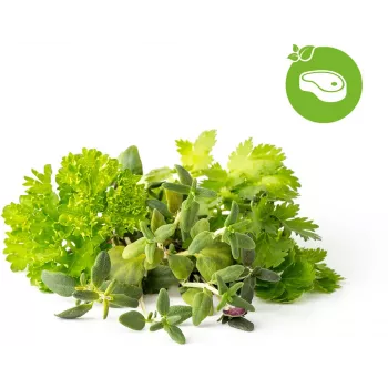 Click & Grow prieskoninių žolelių kepsniams rinkinio augalų kapsulės Smart Garden sodui, 9 vnt. (PPMSSX9)