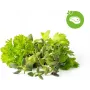 Click & Grow prieskoninių žolelių kepsniams rinkinio augalų kapsulės Smart Garden sodui, 9 vnt. (PPMSSX9)