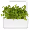 Click & Grow SGR68x3 Petražolių sėklų kapsulės (3 vnt.)