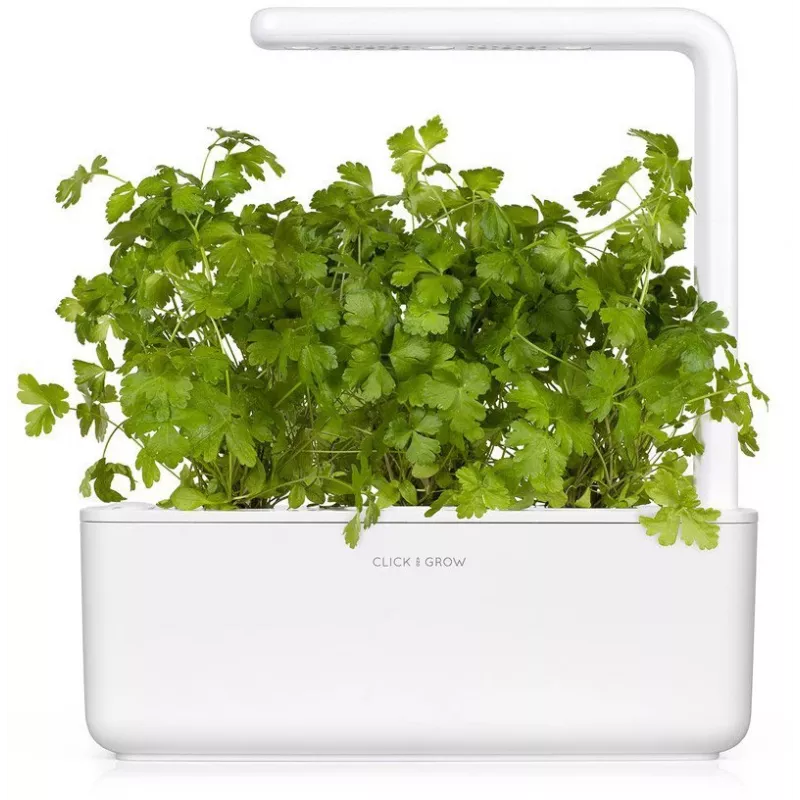 Click & Grow SGR68x3 Petražolių sėklų kapsulės (3 vnt.)