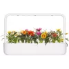 Click & Grow gazanijų augalų kapsulės Smart Garden sodui, 3 vnt. (SGR92X3)