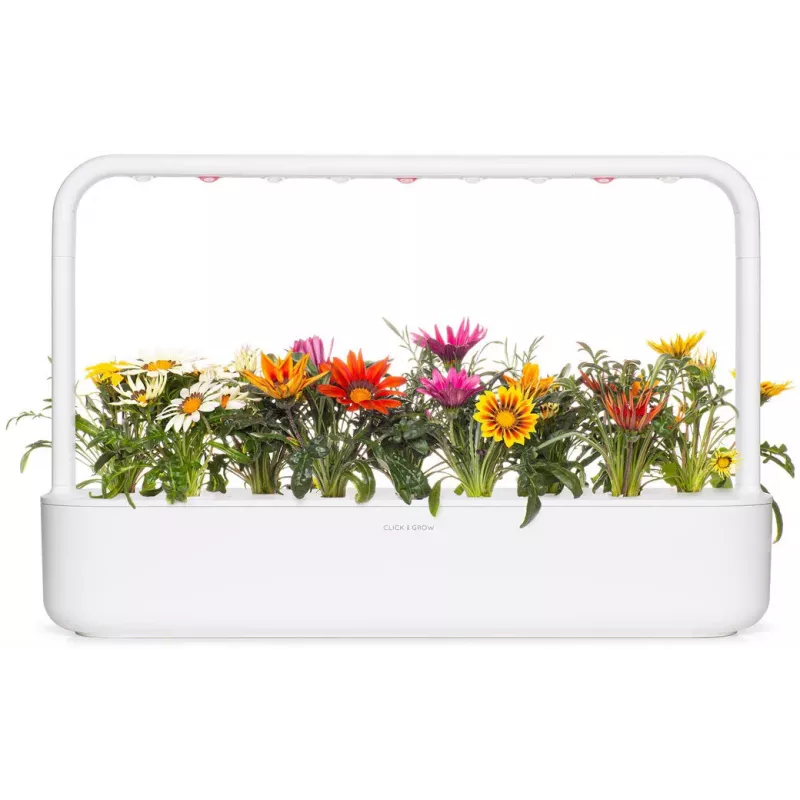 Click & Grow gazanijų augalų kapsulės Smart Garden sodui, 3 vnt. (SGR92X3)
