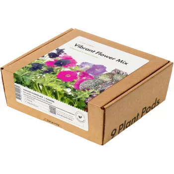 Click & Grow ryškių gėlių rinkinio augalų kapsulės Smart Garden sodui, 9 vnt. (PPMVBX9)