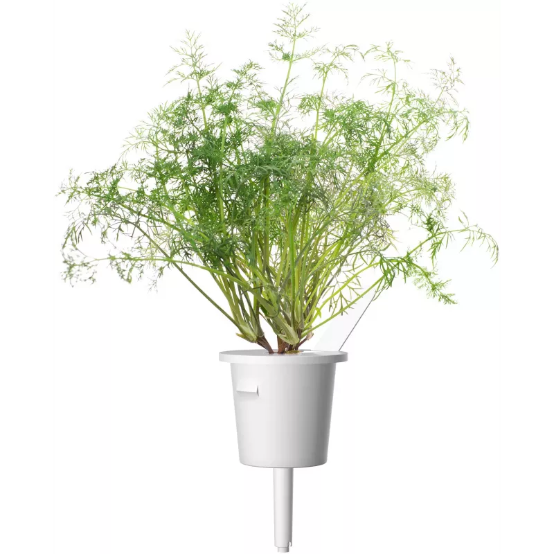 Click & Grow SGR49x3 krapų augalų kapsulės, 3 vnt. papildymas