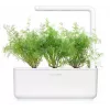 Click & Grow SGR49x3 krapų augalų kapsulės, 3 vnt. papildymas
