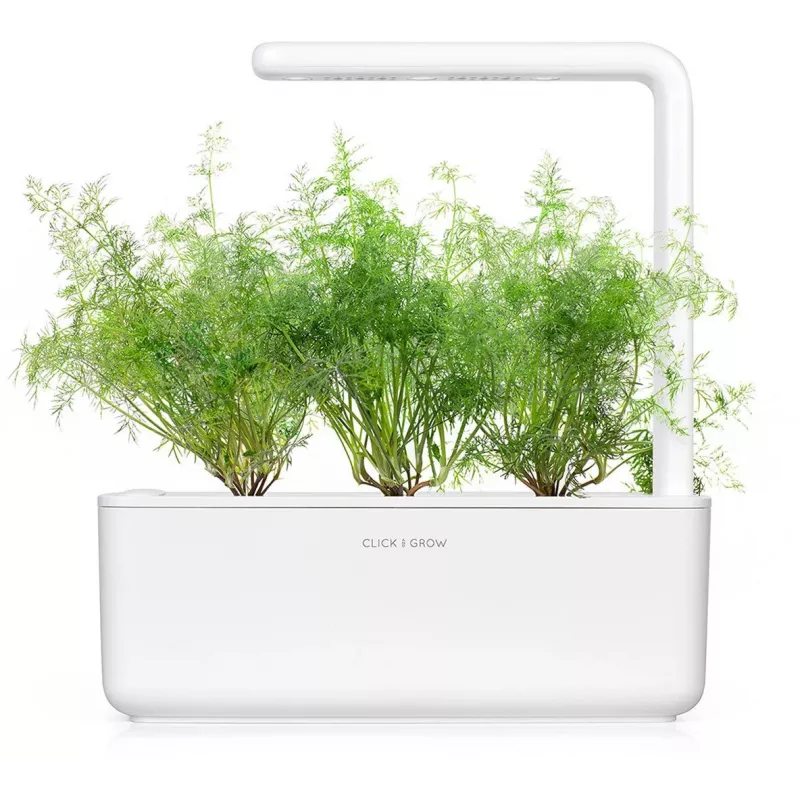 Click & Grow SGR49x3 krapų augalų kapsulės, 3 vnt. papildymas