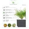 Click & Grow SGR49x3 krapų augalų kapsulės, 3 vnt. papildymas