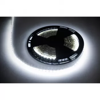 REBEL LED juostos rinkinys 25m 1500x5050 SMD šalta balta 12V