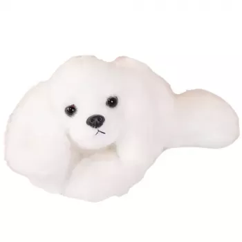 LEAN TOYS Maltos bišono minkštas žaislas su svorio letenėlėmis, baltas, 30 cm