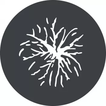 Godox GP GS2 Gobų rinkinys GP projekciniam priedui (6 raštai)