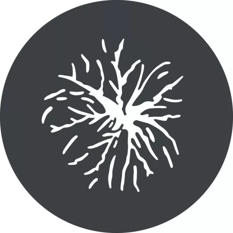 Godox GP GS2 Gobų rinkinys GP projekciniam priedui (6 raštai)