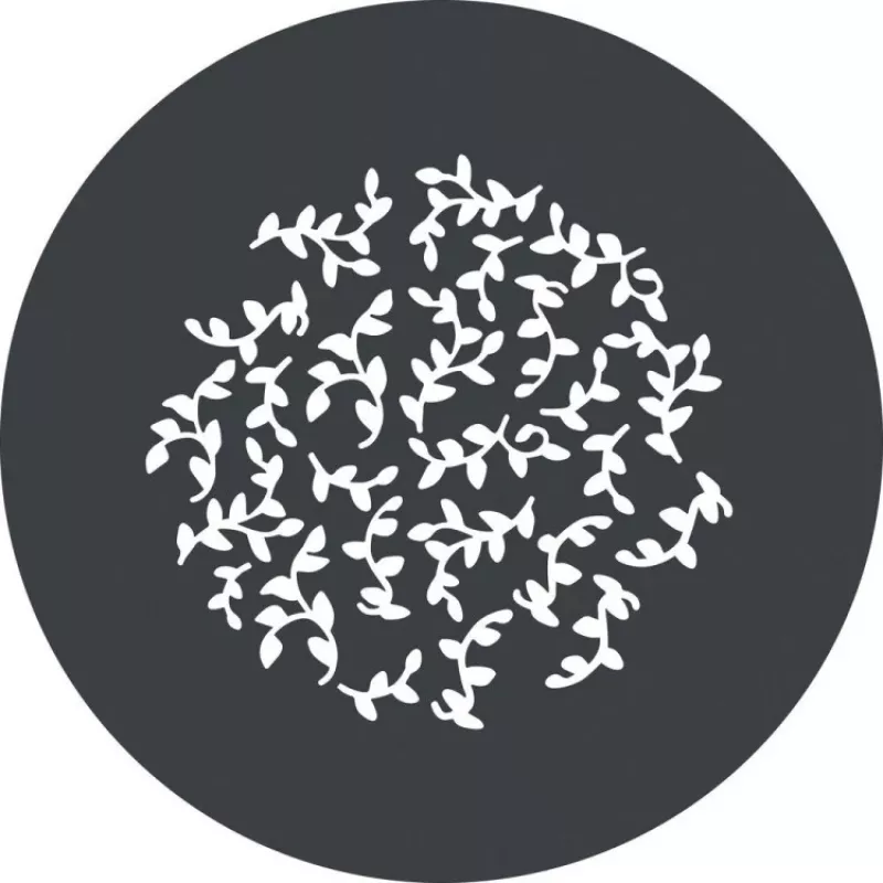 Godox GP GS2 Gobų rinkinys GP projekciniam priedui (6 raštai)