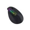 WOZINSKY WMG-1164 belaidė vertikali ergonomiška žaidimų pelė 3600 DPI RGB juoda
