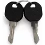 DSIT DS-LOCK-KEY server spintos raktų rinkinys (2 raktai, nikeliuotas žalvaris)