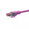 DSIT CAT 6 S/FTP LSOH tinklo jungiamasis laidas, 30 m, rožinis