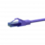 DSIT CAT6a tinklo laidas 100% varis - U/UTP - 0,15 m - violetinis (DC-U6A8-001)