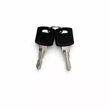 DSIT DS-SIDELOCK-KEY atsarginis raktas serverio spintos šoninėms plokštėms (2 vnt.)